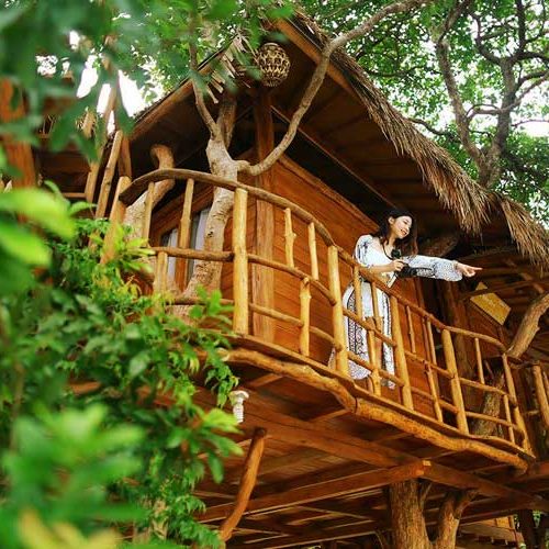 Zarra Tree House