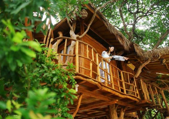 Zarra Tree House