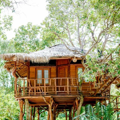 Zarra Tree House