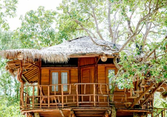 Zarra Tree House