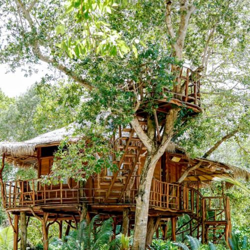 Zarra Tree House