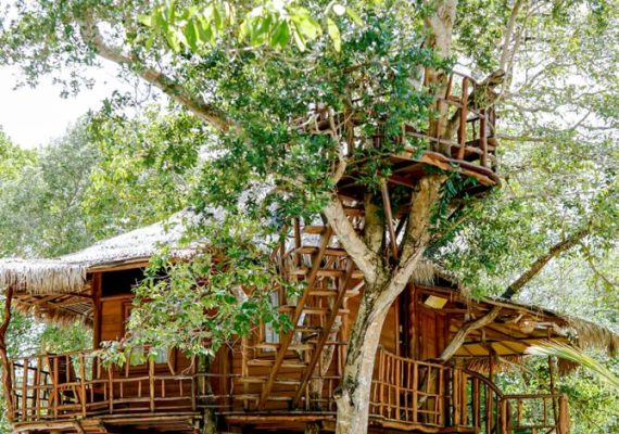 Zarra Tree House