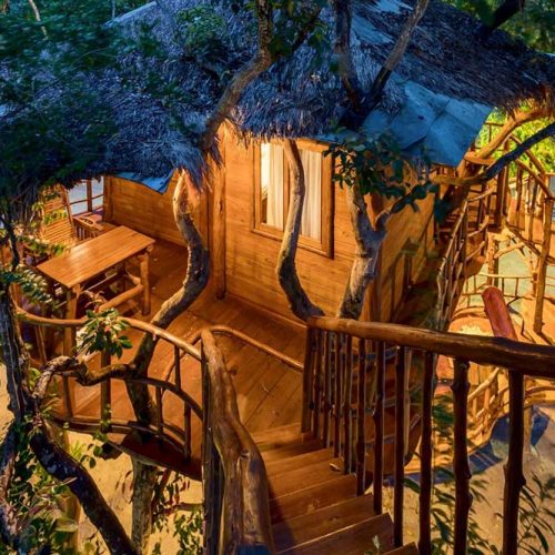 Zarra Tree House